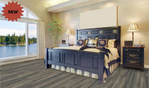 Saranac_Sanibel_Driftwood2.jpg